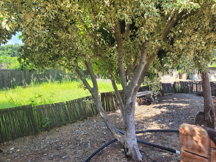 4 Bedroom Property for Sale in Protea Park North West